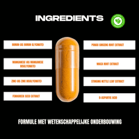 Natuurlijke ingrediënten van CONQUEROR: fenegriek, maca, panax ginseng en zwarte peper